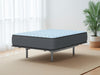 Destin Cove Firm Mattress - Bill's Discount Center (Bradenton, FL)