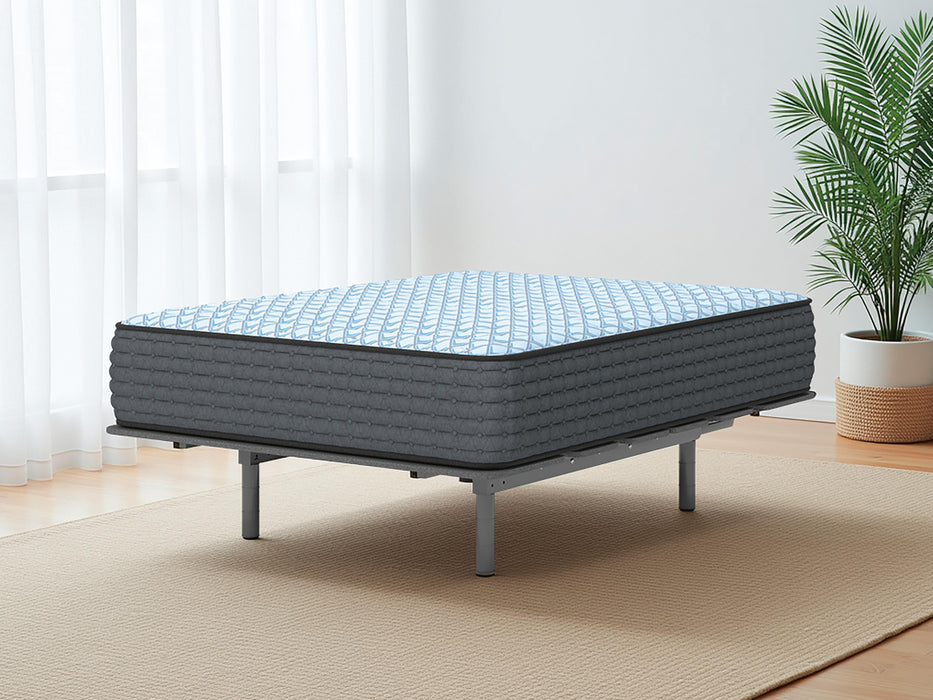 Destin Cove Firm Mattress - Bill's Discount Center (Bradenton, FL)