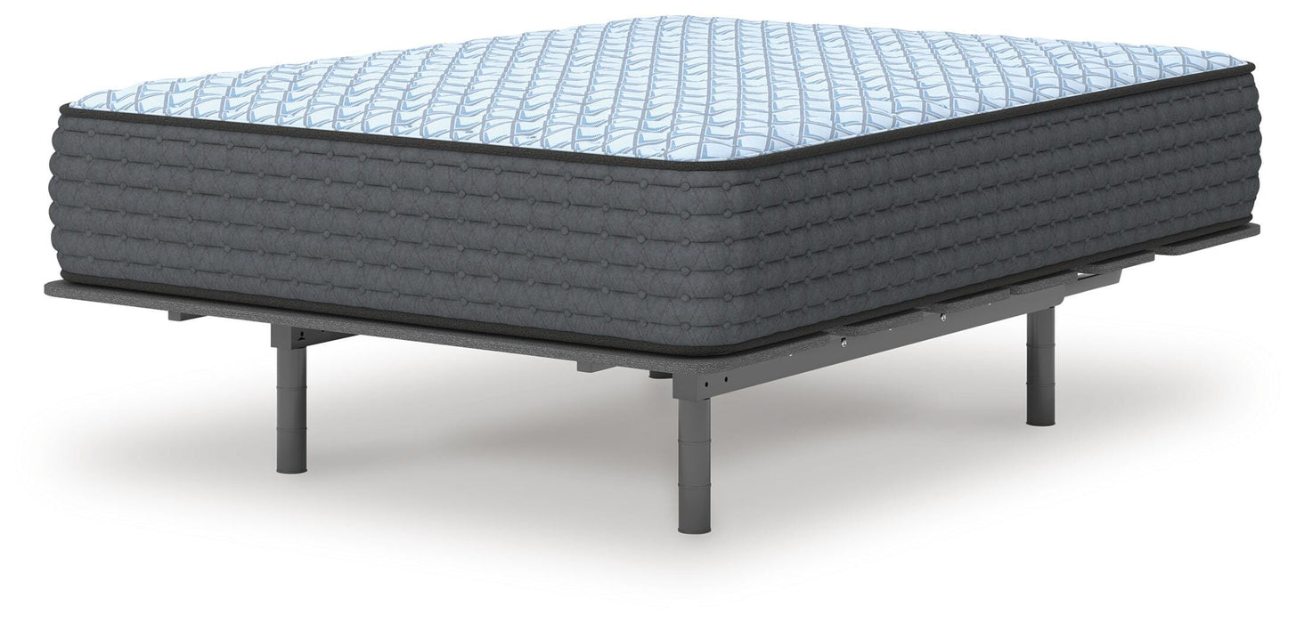 Destin Cove Firm Mattress - Bill's Discount Center (Bradenton, FL)