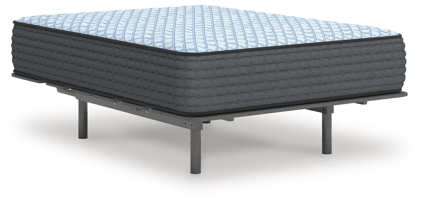 Destin Cove Firm Mattress - Bill's Discount Center (Bradenton, FL)