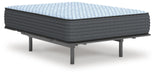 Destin Cove Firm Mattress - Bill's Discount Center (Bradenton, FL)