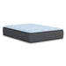 Destin Cove Plush Mattress - Bill's Discount Center (Bradenton, FL)