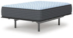Destin Cove Plush Mattress - Bill's Discount Center (Bradenton, FL)