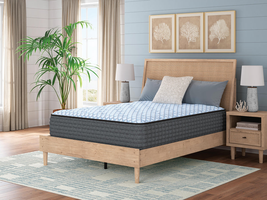Destin Cove Plush Mattress - Bill's Discount Center (Bradenton, FL)