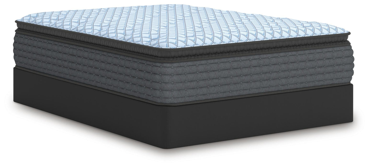 Destin Cove PT Mattress - Bill's Discount Center (Bradenton, FL)