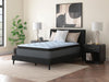 Destin Cove PT Mattress - Bill's Discount Center (Bradenton, FL)