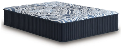 Firm Luxe 2.0 Mattress - Bill's Discount Center (Bradenton, FL)