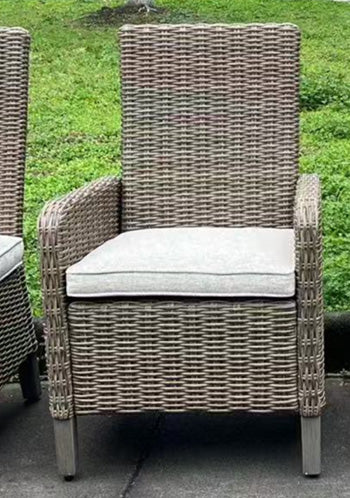 Laguna Heights Arm Chair with Cushion (Set of 2) - Bill's Discount Center (Bradenton, FL)